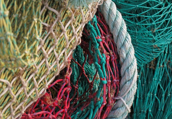 Gregal Ecodesign - Swimwear made with nets and plastics extracted from the bottom of the sea's header image