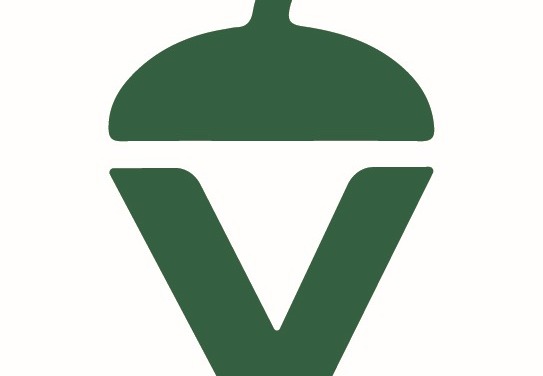 La Voz de Extremadura: nuevo periodismo para Extremadura's header image