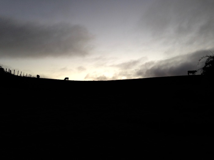 img-5261.jpg