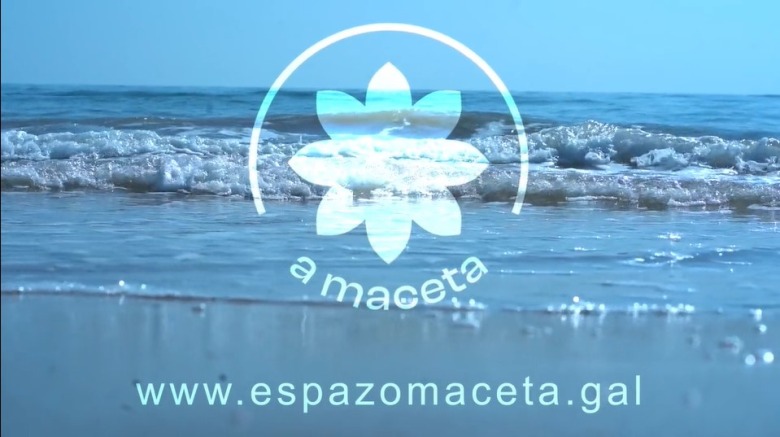 Immagine di intestazione