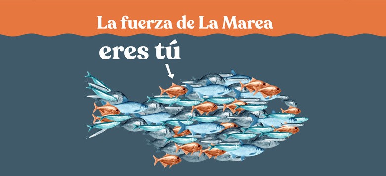 Imaxe de cabeceira
